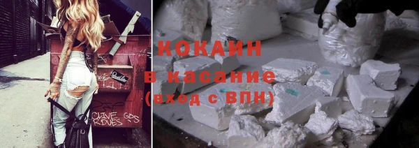 шишки Беломорск