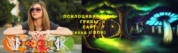 шишки Беломорск