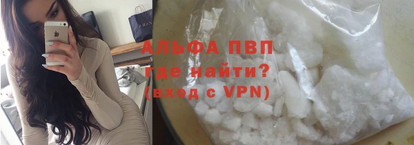 шишки Беломорск