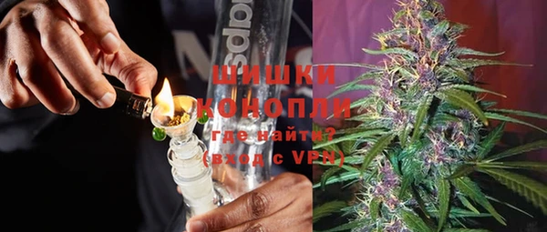 шишки Беломорск