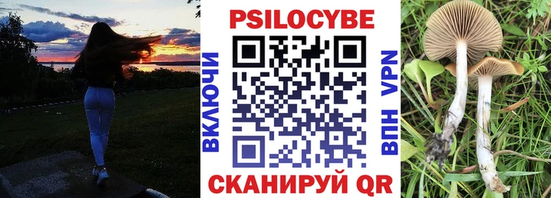 закладки  Пестово  МЕГА зеркало  Галлюциногенные грибы Psilocybe 