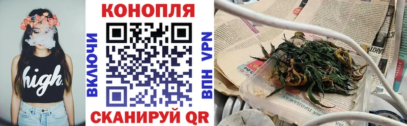 Канабис OG Kush  как найти закладки  Пестово 